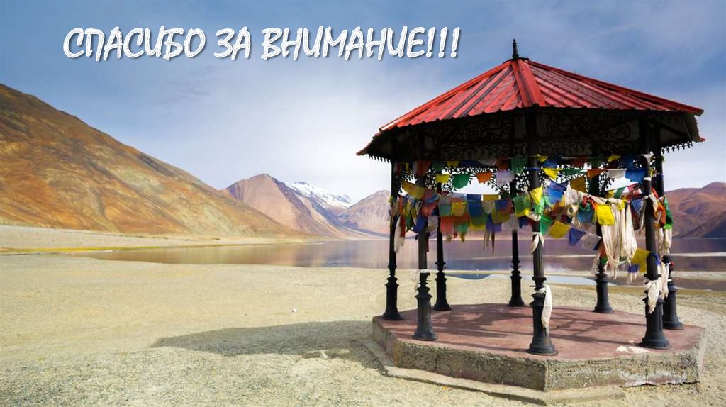 Спасибо за внимание!!!