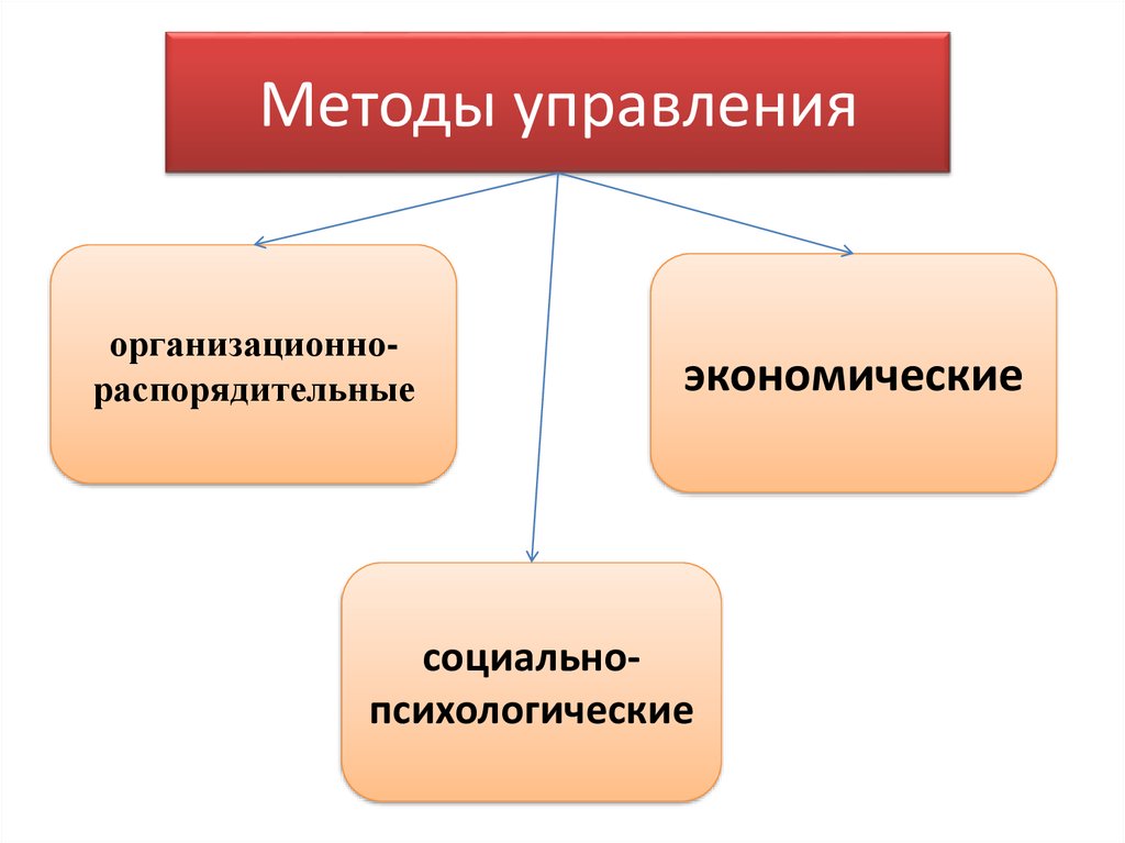 Экономический организационно распорядительный социально психологический