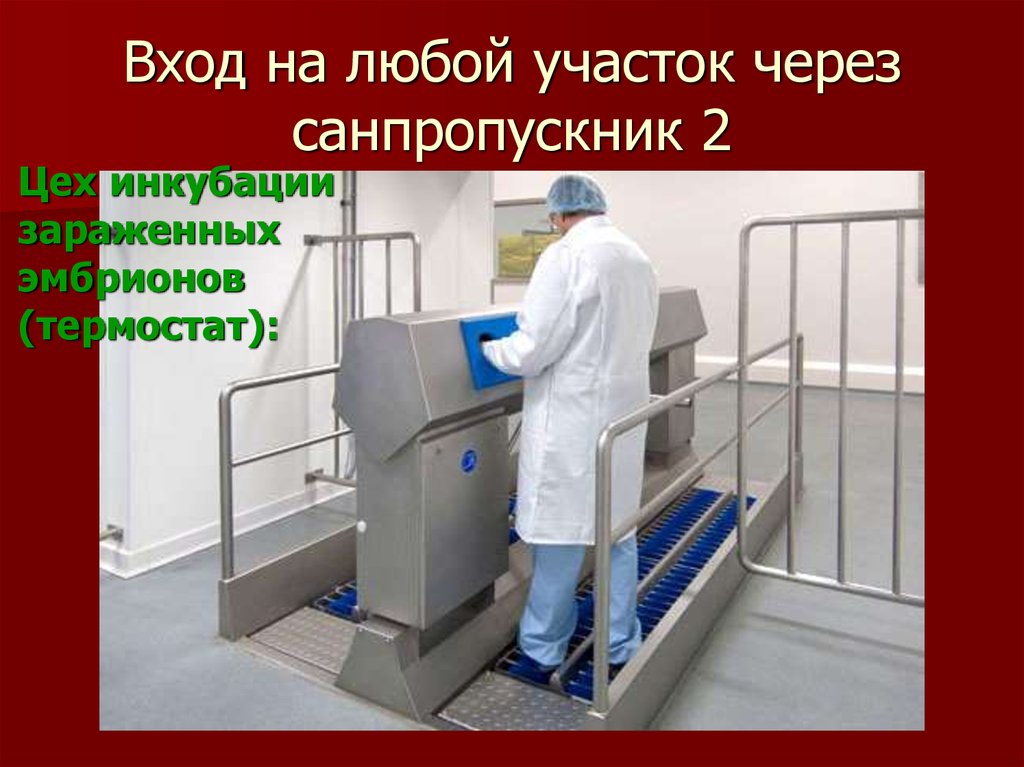 Вход на любой участок через санпропускник 2