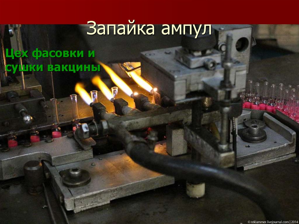 Запайка ампул