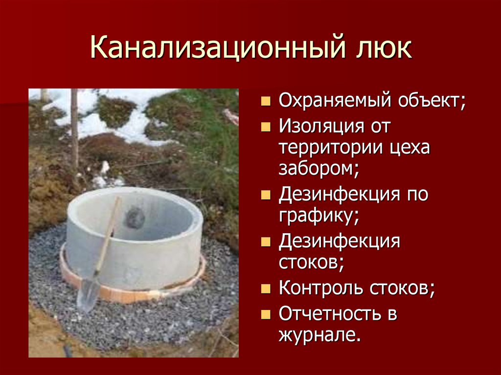 Канализационный люк