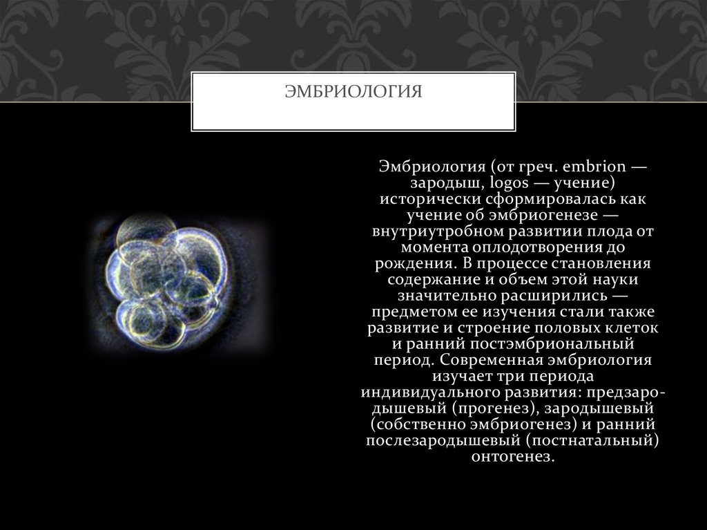 Эмбриология. Метод эмбриологии. Методы исследования в эмбриологии. Современная эмбриология. Эмбриология методы изучения.