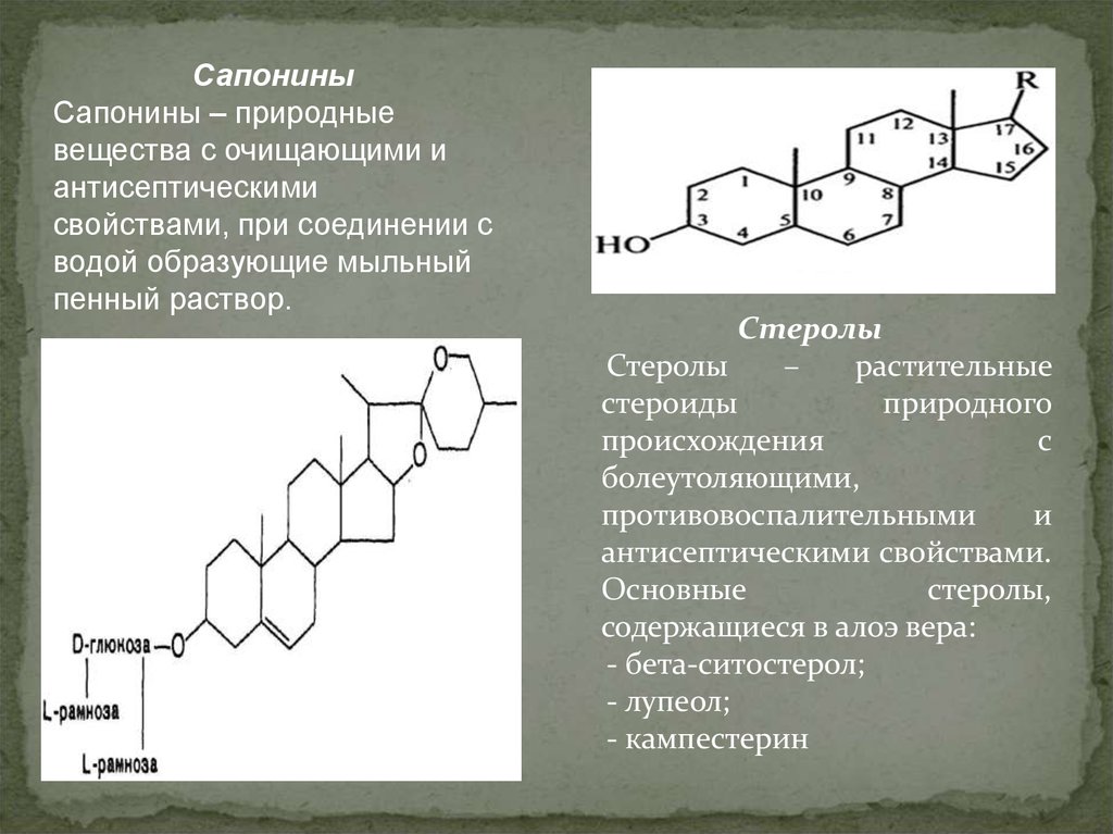 Стероидные сапонины. Сапонины формула общая. Стероидные сапонины формула. Химическая структура сапонинов. Сапонины формула химическая.