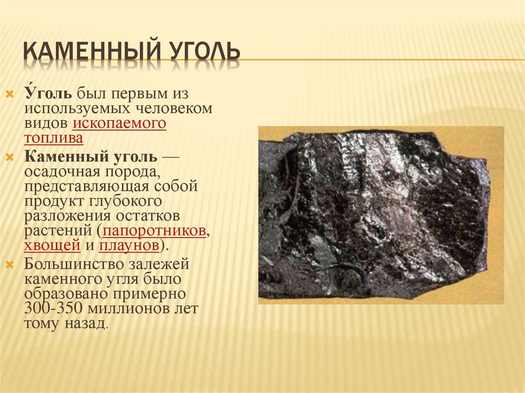 Формирование залежей каменного угля возникновение первых рептилий. Основное свойство каменного угля 3 класс. Каменный уголь происхождение. Полезные ископаемые уголь. Полезные ископаемые каменный уголь.