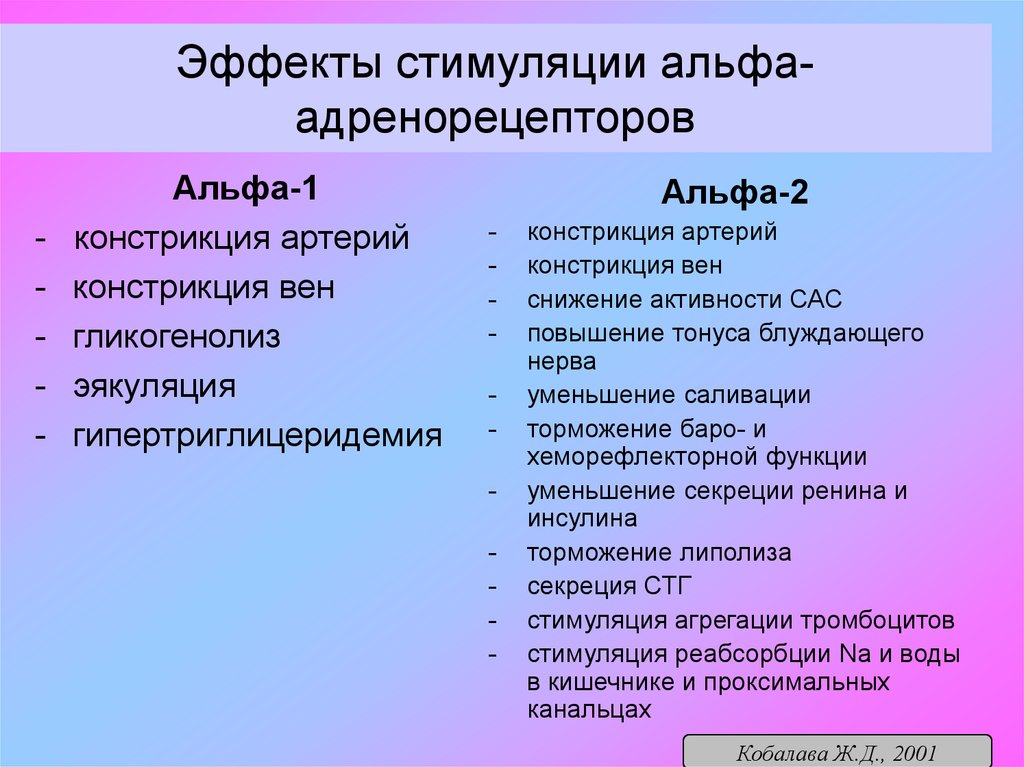 Альфа адренорецепторы. Эффекты стимуляции альфа1-адренорецепторов. Альфа 1 Альфа 2 адренорецепторов. Локализация Альфа 2 адренорецепторов. Альфа 1 адренорецепторы эффект стимуляции.