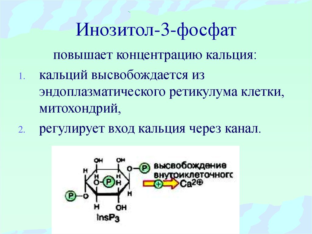 Инозитол-3-фосфат