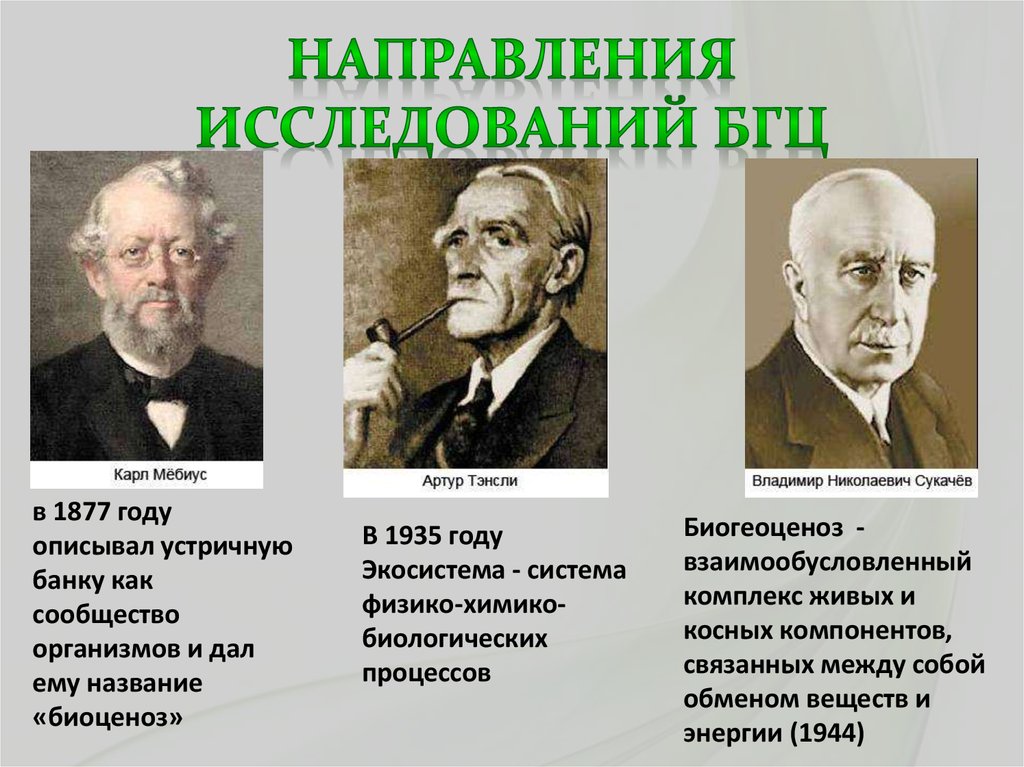 Направления исследований БГЦ