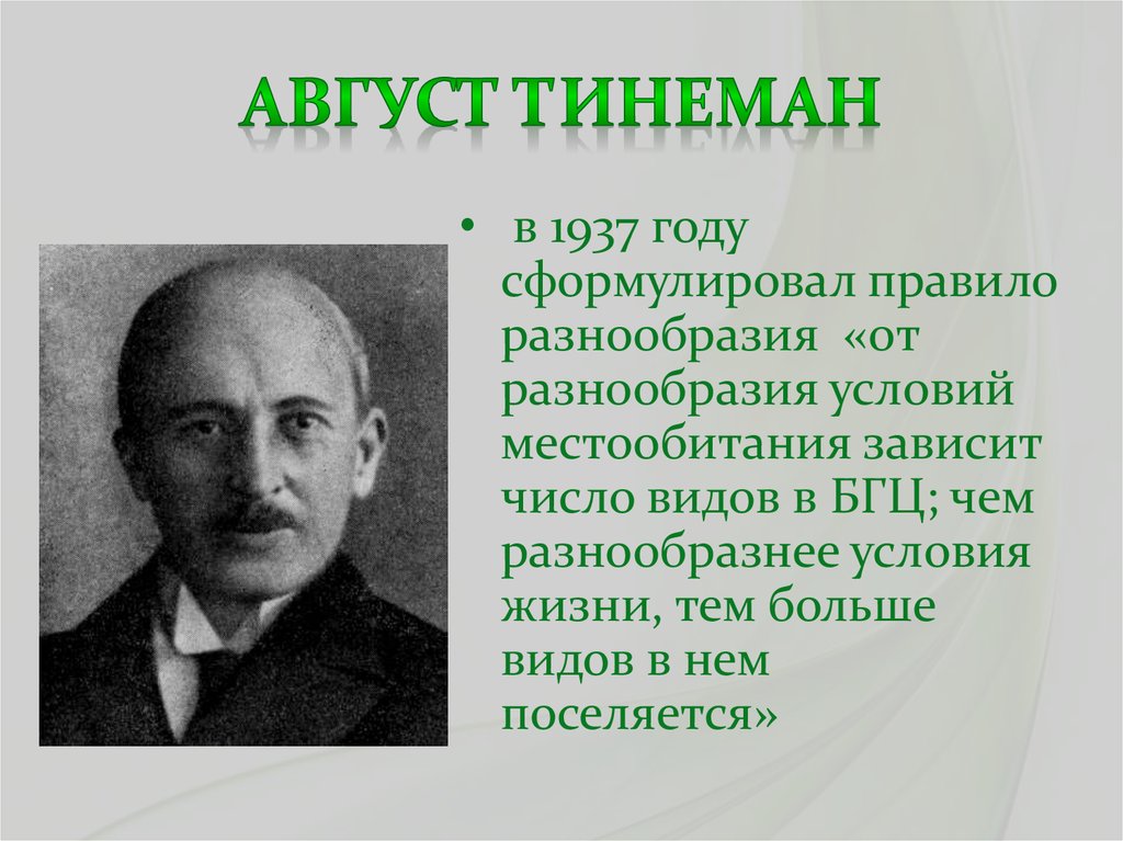 Август Тинеман