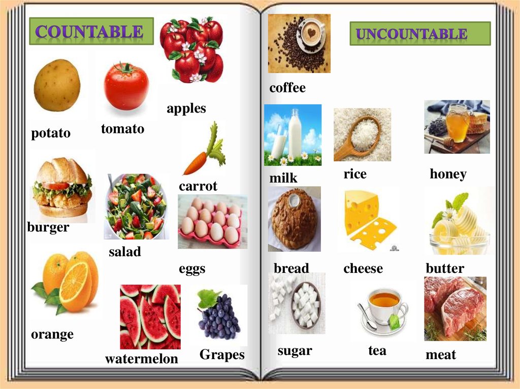 countable-and-uncountable-noun-online-presentation-ddb