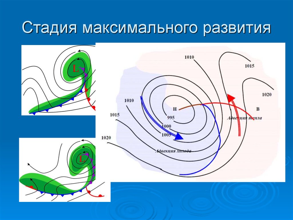 Развивает максимальную. Стадии развития антициклона. Антициклон в стадии максимального развития. Стадии развития циклона и антициклона. Стадии формирования антициклона.