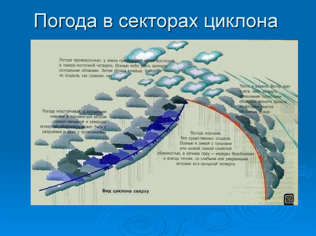 Теплые холодные ветра. Погодные условия в циклоне. Теплый сектор циклона. Передняя часть циклона. Схема теплого фронта циклона.