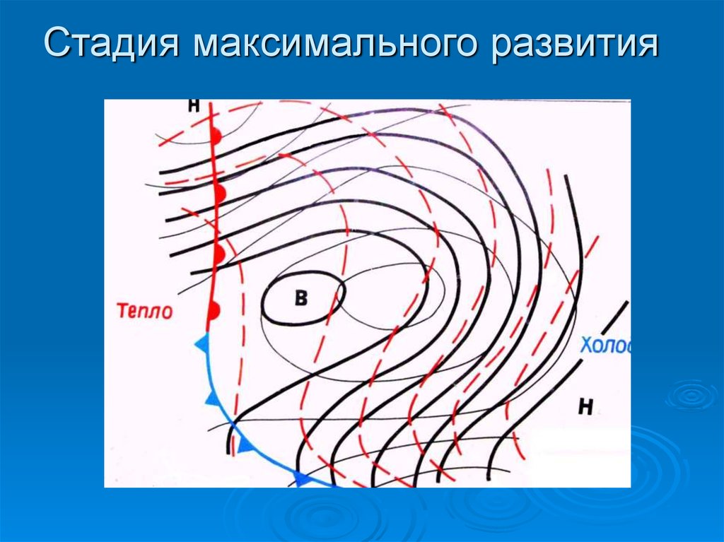 Развивающийся антициклон. Антициклон в стадии максимального развития. Стадия молодого антициклона. Стадии формирования антициклона. Стадии развития циклона.