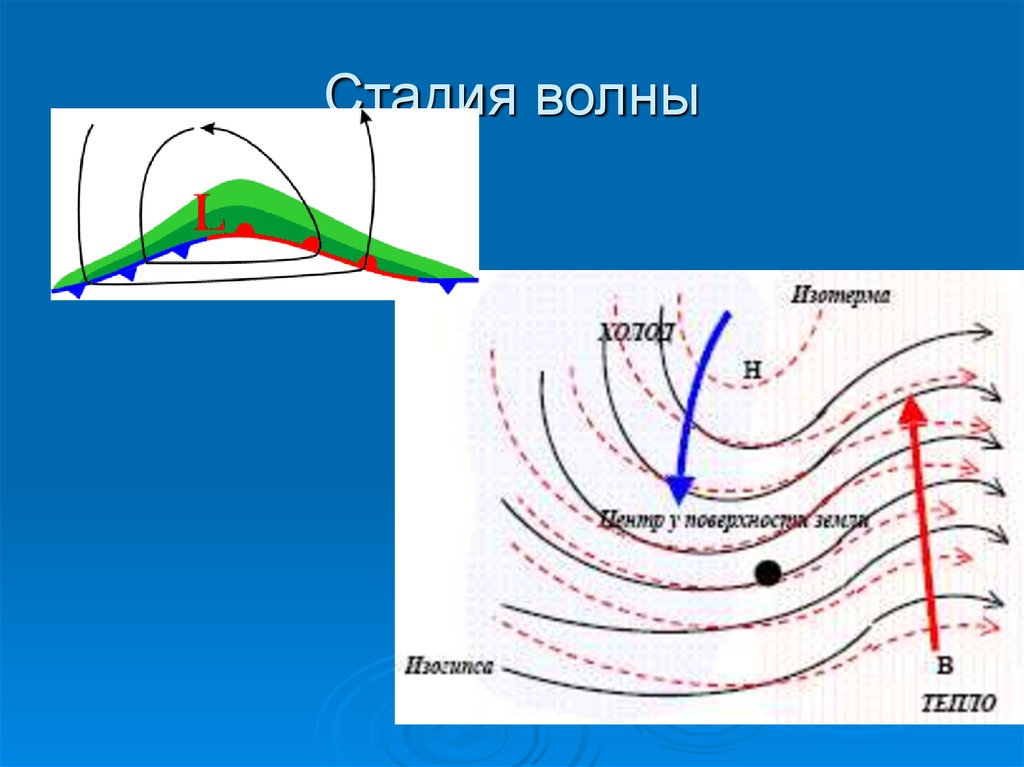 Высота антициклона. Стадии развития антициклона. Стадии развития циклона и антициклона. Стадии волны. Стадии формирования циклона.