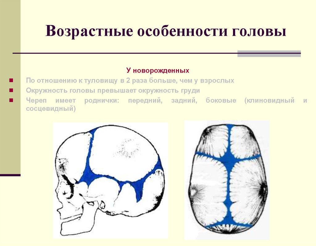 Возрастные особенности черепа. Возрастные особенности черепа роднички. Череп новорожденного возрастные особенности черепа. Возрастные особенности головы. Форма родничка у новорожденного.