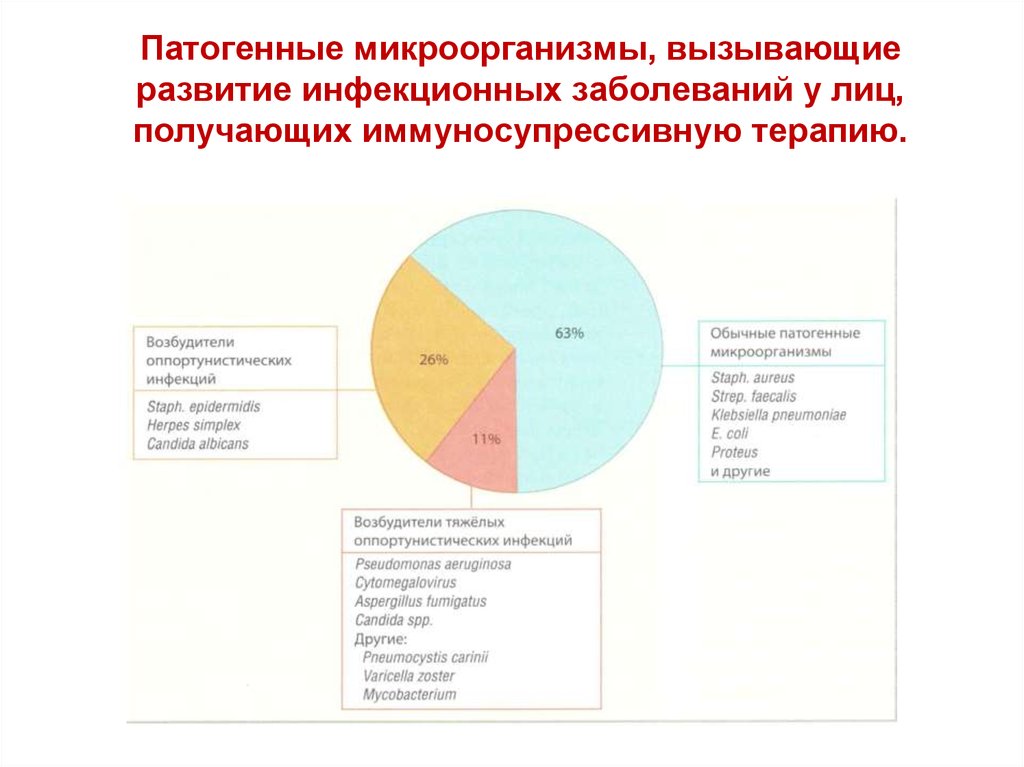 Микроорганизмы которые всегда вызывают развитие инфекционных. Первичные иммунодефициты лекция.