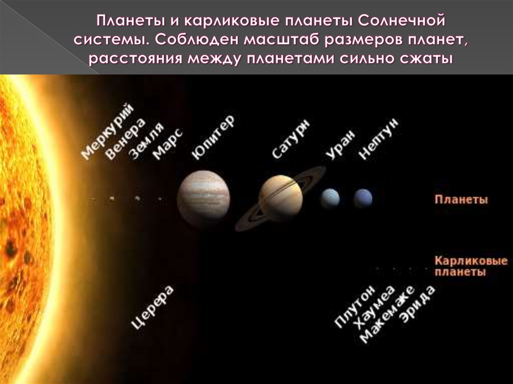Планеты и карликовые планеты Солнечной системы. Соблюден масштаб размеров планет, расстояния между планетами сильно сжаты