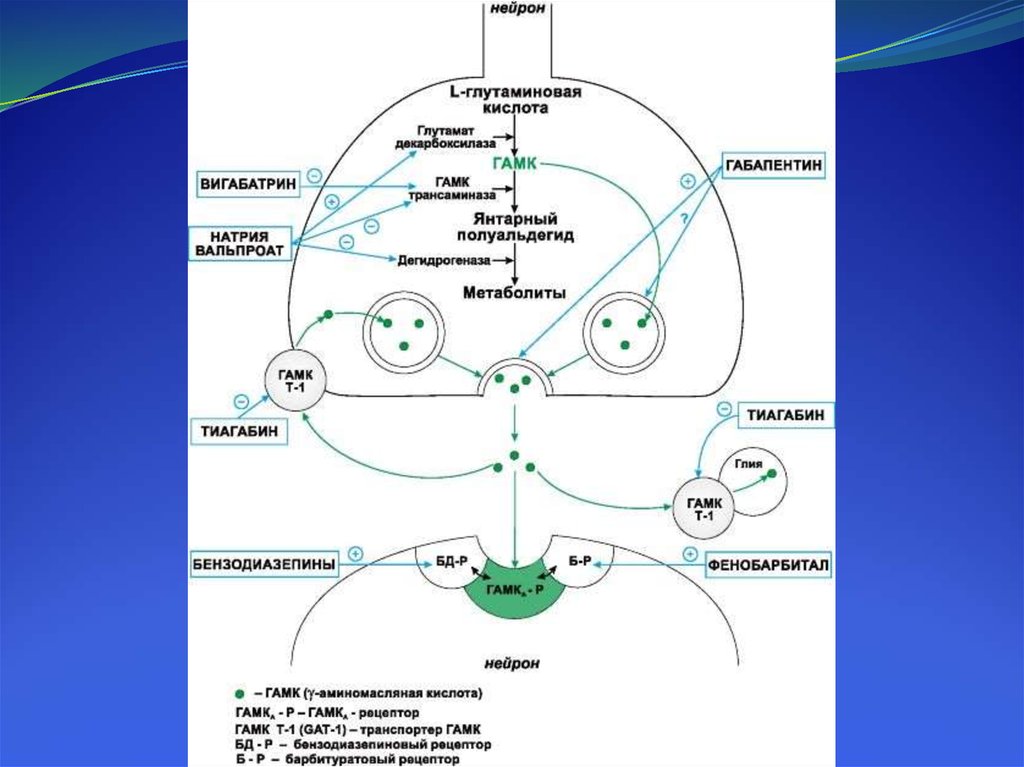 Противоэпилептические препараты фармакология презентация