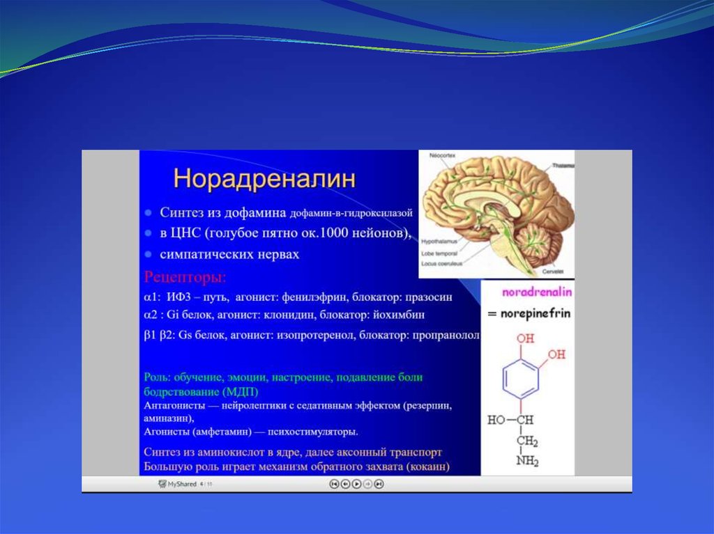 Снотворные средства презентация