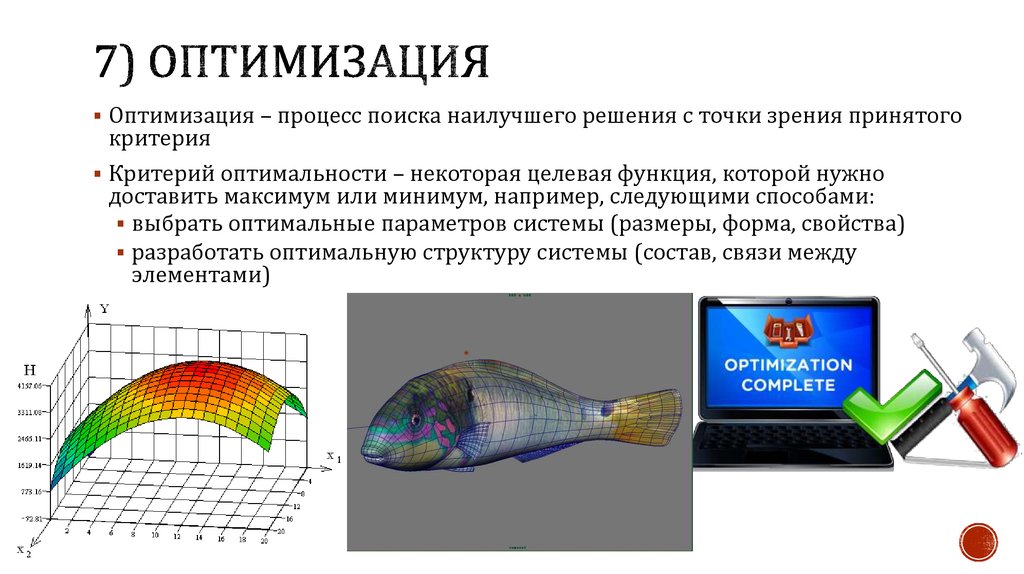 Оптимальный процесс обеспечивает. Оптимальность у рыб.