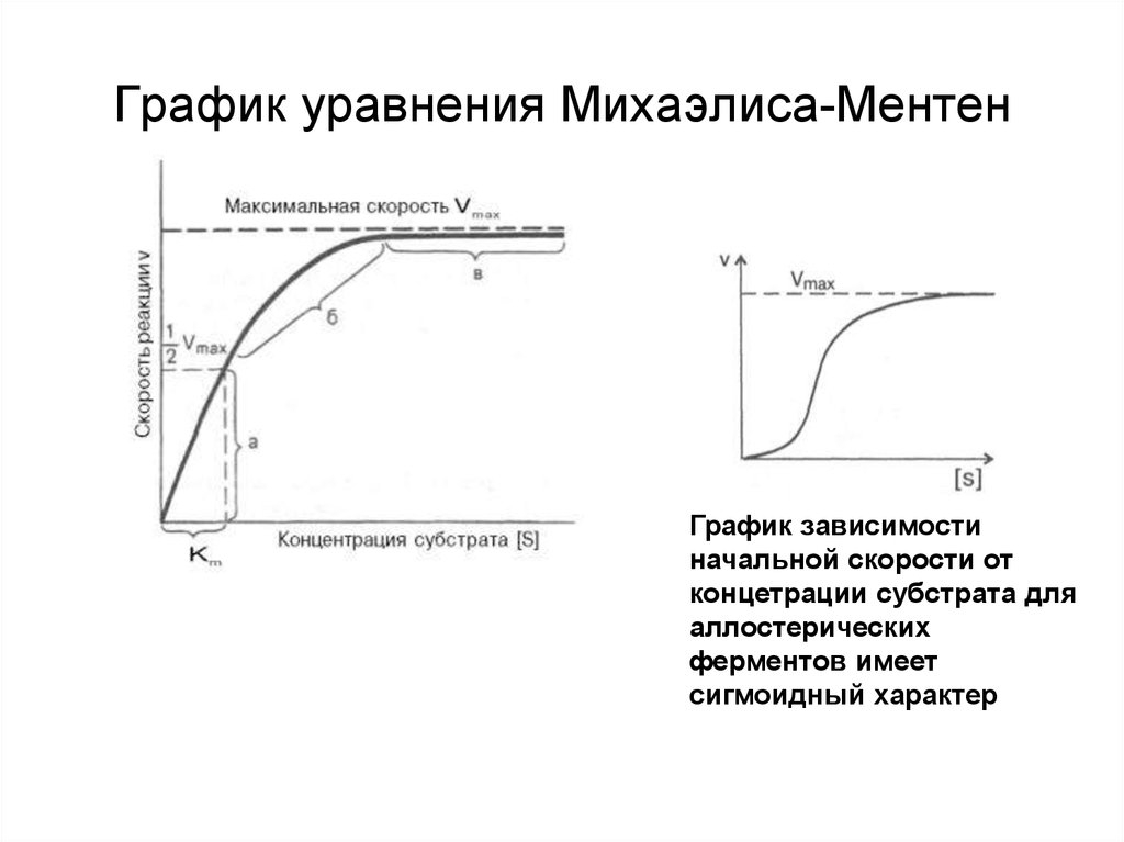 В зависимости от начальной. График Михаэлиса-Ментен. График зависимости активности ферментов от концентрации субстрата. Уравнение Михаэлиса-Ментен график зависимости. Константы Михаэлиса для активности ферментов.