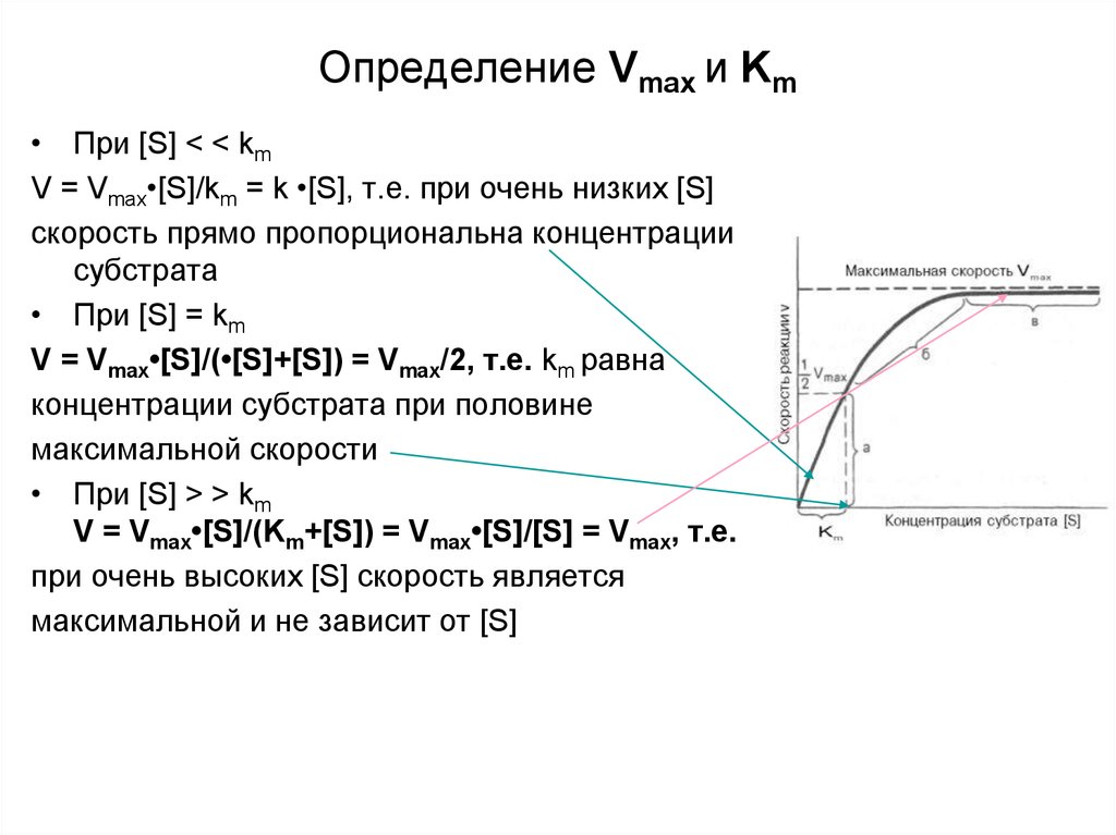 Скорость max. Vmax формула. Как найти v Max. Vmax km ферменты. Amax Vmax формулы.