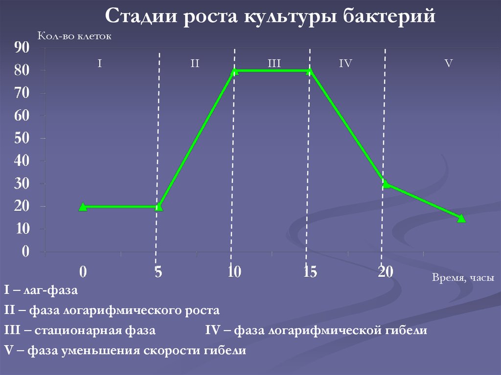 Этап роста. Фазы роста бактериальной культуры. Стадии роста культуры бактерий. Стационарная фаза роста микроорганизмов. Логарифмическая фаза роста.