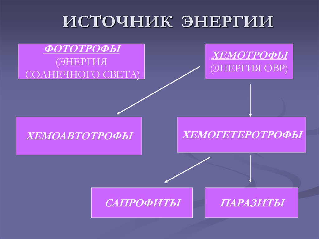 Хемотрофы. Хемоавтотрофы и хемогетеротрофы. Хемотрофы источник энергии. Источник энергии хемоавтотрофов. Фотоавтотрофы хемогетеротрофы хемоавтотрофы это.