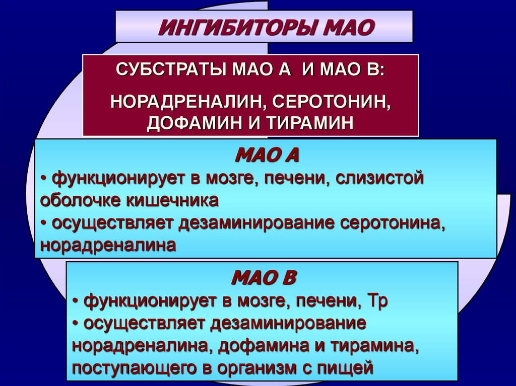 Какие ингибиторы мао