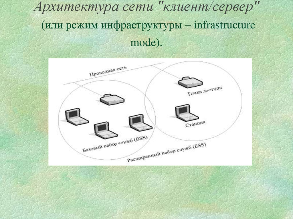 Архитектура сети