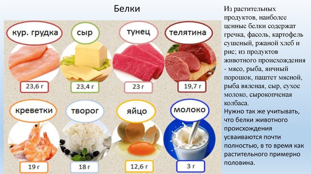 Сколько грамм белка содержится в мясе