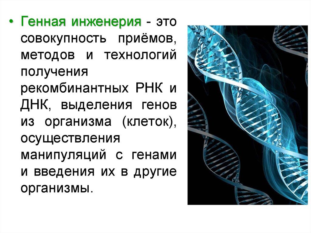 Какие проблемы решает генная инженерия