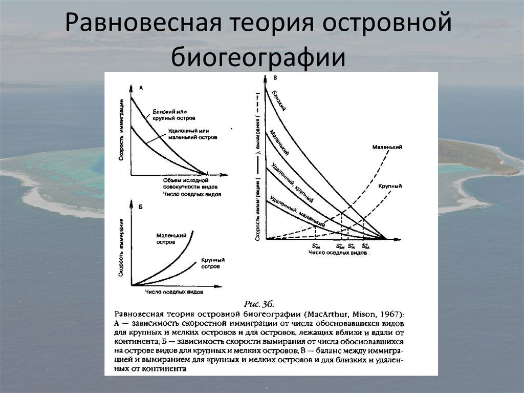 Островные биоты презентация