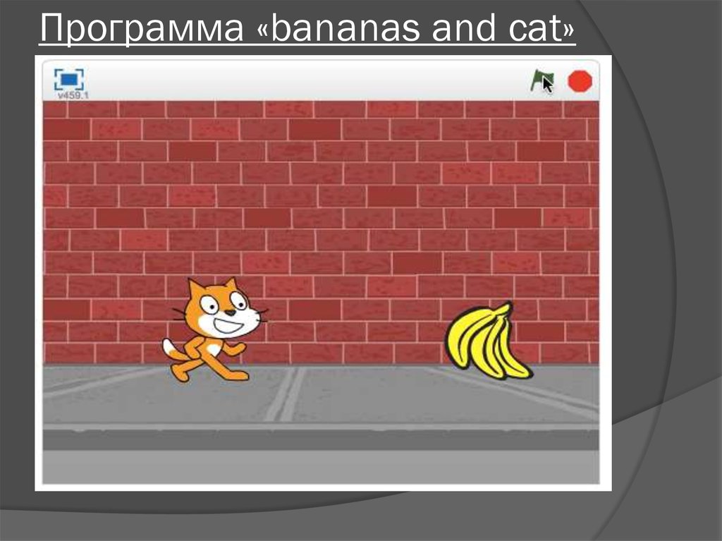 Программа «bananas and cat»