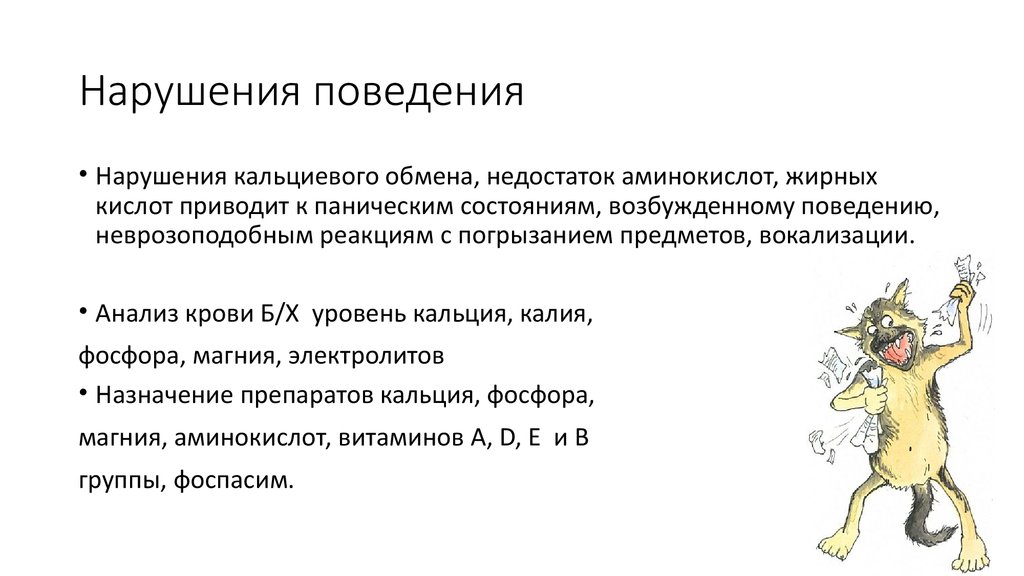 Понятие нарушение поведения. Степанов нарушение поведения. Поведение угнетенное возбужденное и.