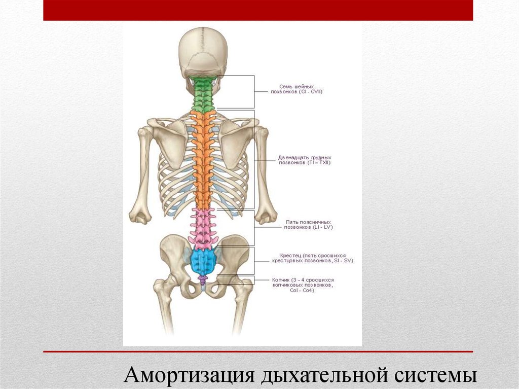 «Секреты» карате