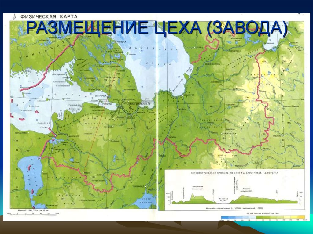 РАЗМЕЩЕНИЕ ЦЕХА (ЗАВОДА)