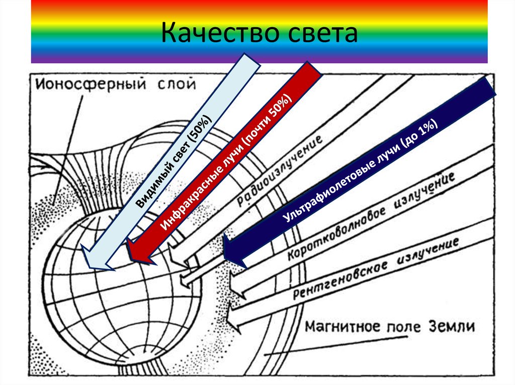 Качество и свет. 4 Качества света.