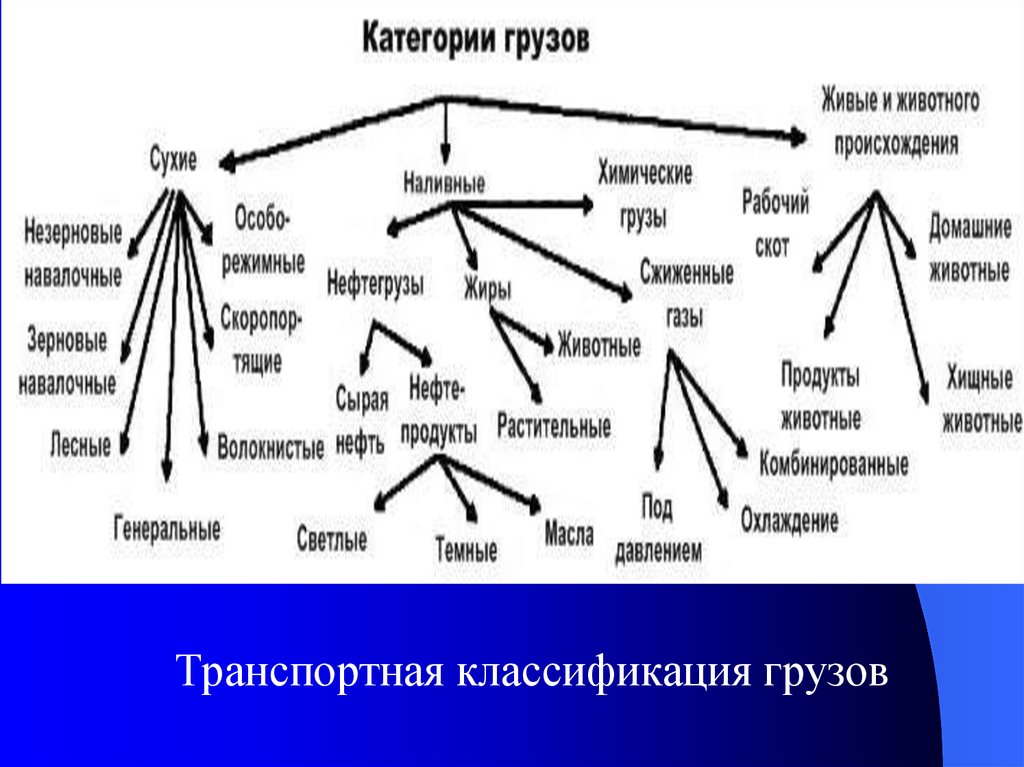 Транспортная классификация грузов. Зерновые грузы классификация.