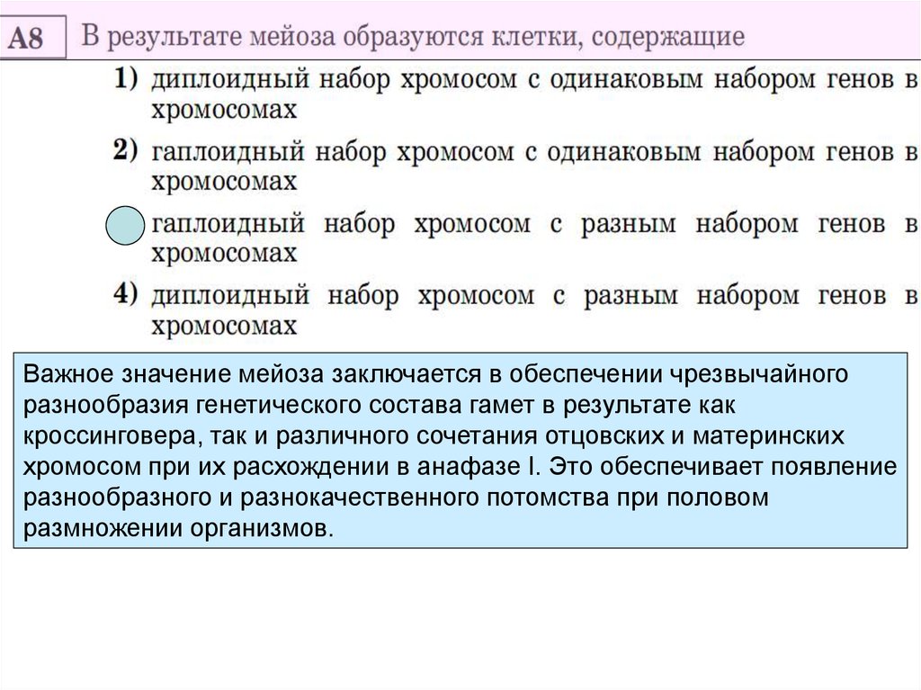 Биологическое значение мейоза презентация