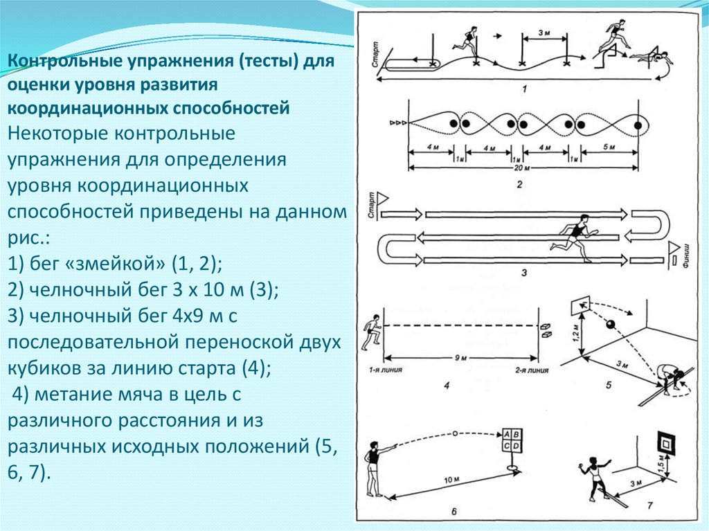 Определение уровня развития. Контрольные упражнения и тесты для определения силовых способностей. Упражнения для определения уровня координационных способностей. Тесты для определения развития силовых способностей. Контрольные упражнения для оценки скоростно-силовых способностей.