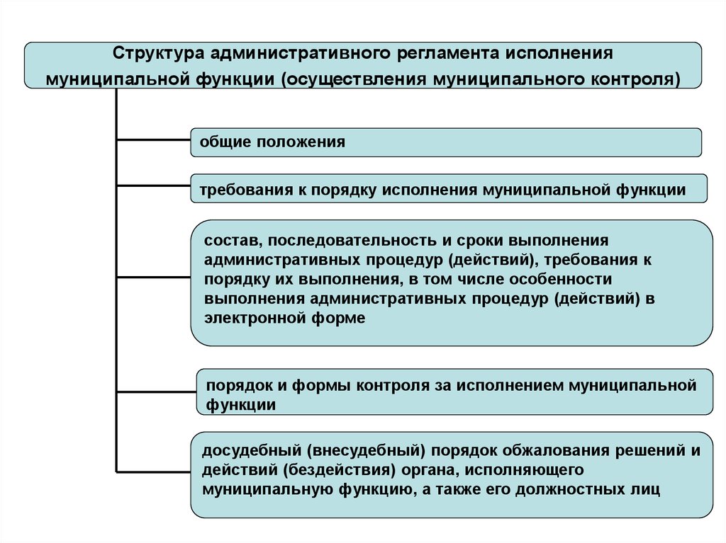 Функции муниципальных органов контроля