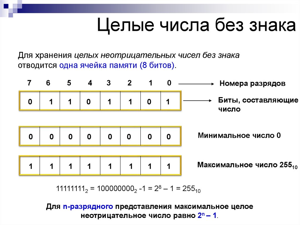 0 это целое. Что такое целое число в математике 6 класс. Целые числа. Целые числа примеры. Примеры целых чисел.