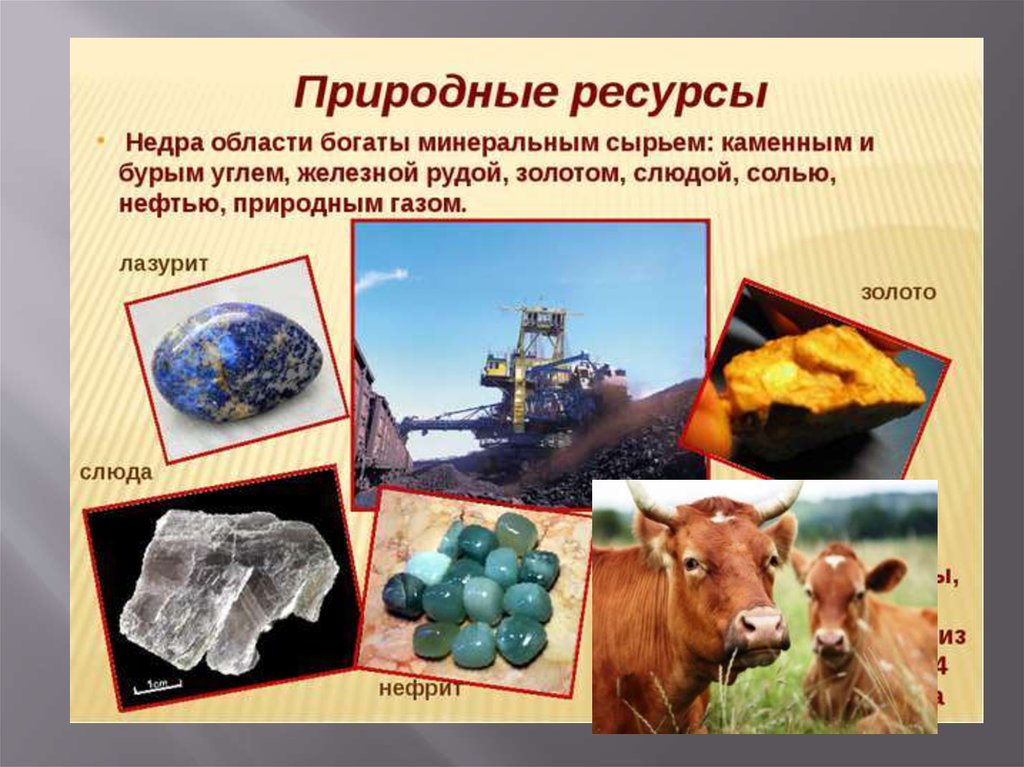 Отрасли экономики в иркутской области какие развиты. Природные ресурсы. Природные полезные ископаемые. Ресурсы природы. Природные ресурсы картинки.