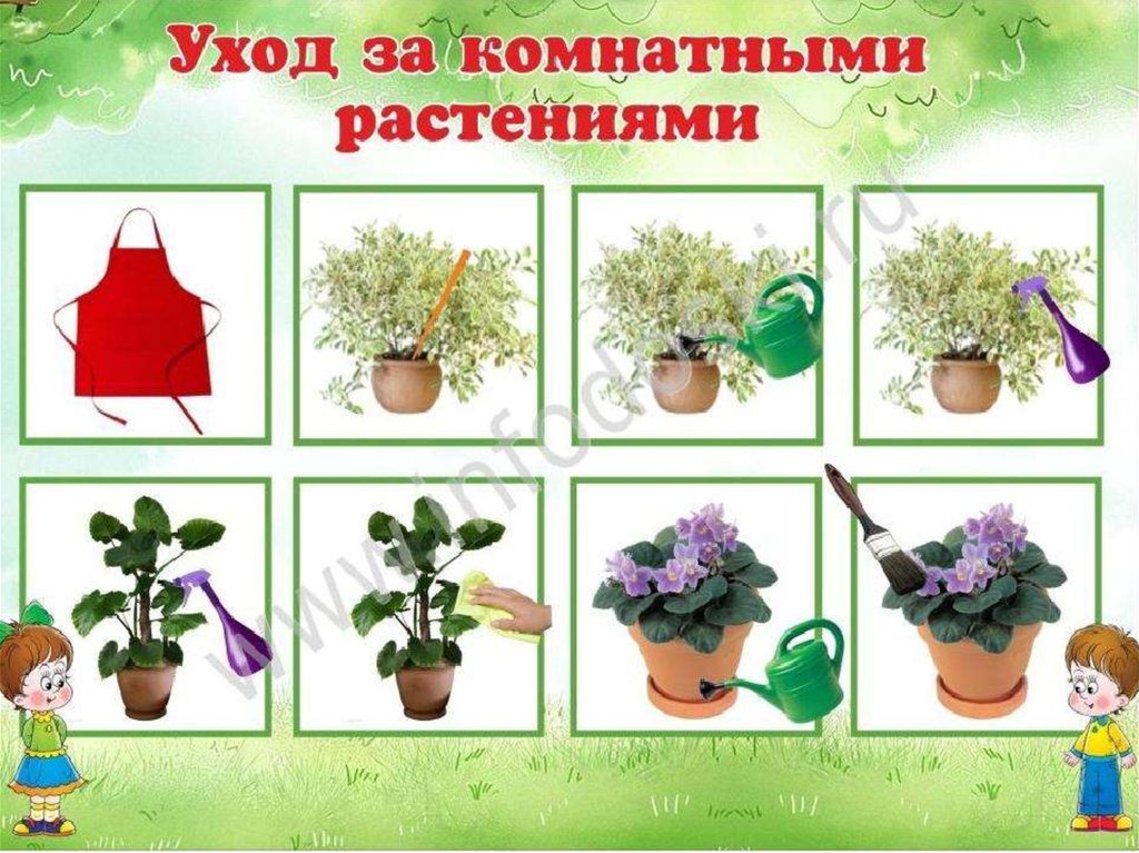 Картинки растения для детей в детском саду
