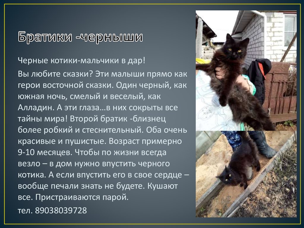 Братики -черныши