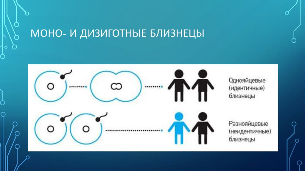 Чем отличаются близнецы. Моно и дизиготные Близнецы. Однояйцевые (монозиготные) Близнецы. Формирование однояйцевых близнецов. Возникновение однояйцевых близнецов.