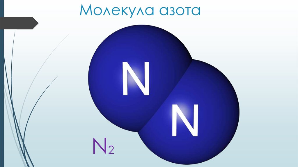 Сколько атомов азота содержится. Молекула азота строения n2. Строение молекулы азота химическая формула. N2 строение молекулы. Строение вещества азот (n2).