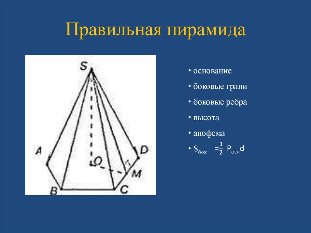 Фигура являющаяся боковой гранью пирамиды. У правильной пирамиды боковые ребра боковые грани. Апофе правильной пирамиды. Правильная пирамида грани ребра вершины. Пирамида высота апофема ребро грань.