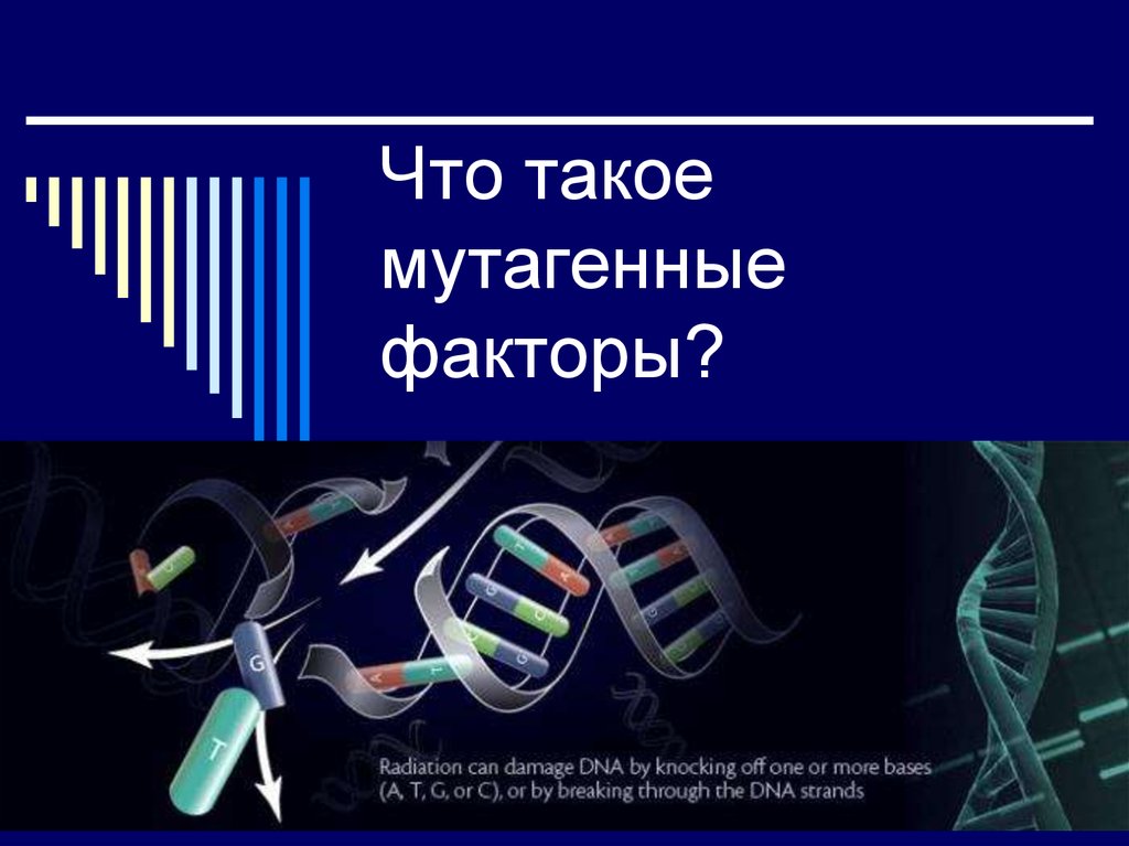 Мутагенные факторы. Основные мутагенные факторы. Какие мутации вызывает физический мутагенный фактор. Мутагенные факторы это в биологии 9 класс.