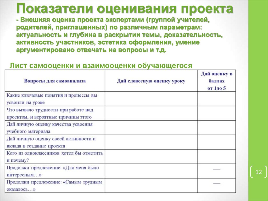 Параметры внешней оценки проекта